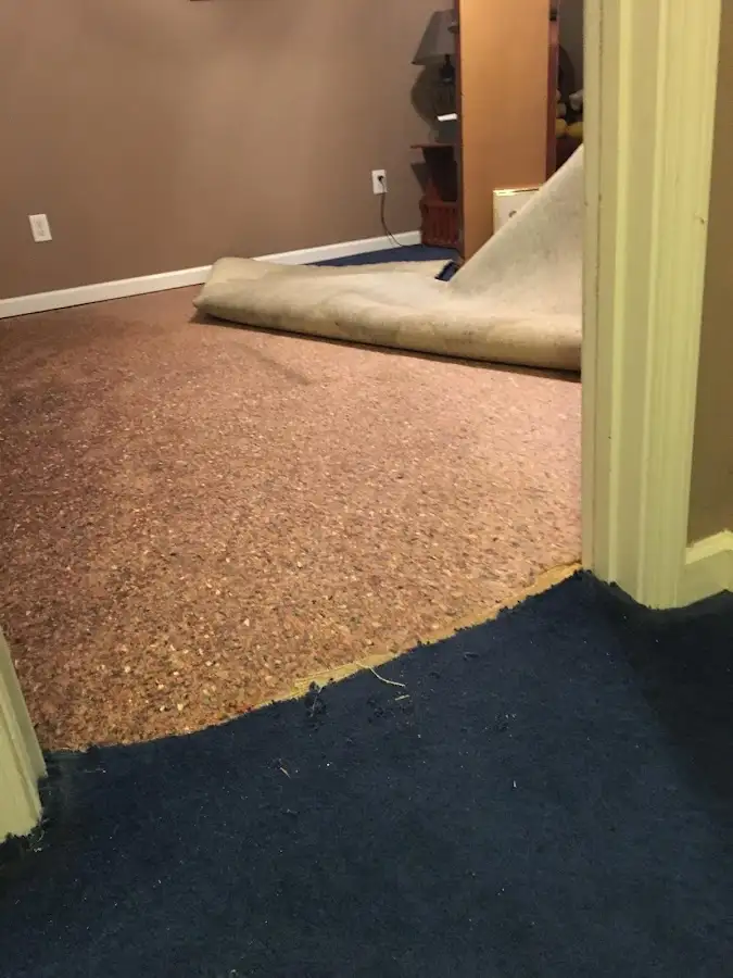 Carpet pad removal revealing water damage during Drying & Dehumidification in Citrus