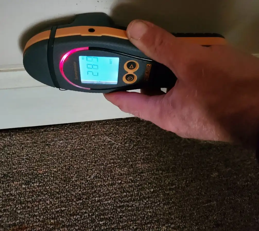 Moisture detection at baseboard during Burst Pipe Cleanup in Citrus